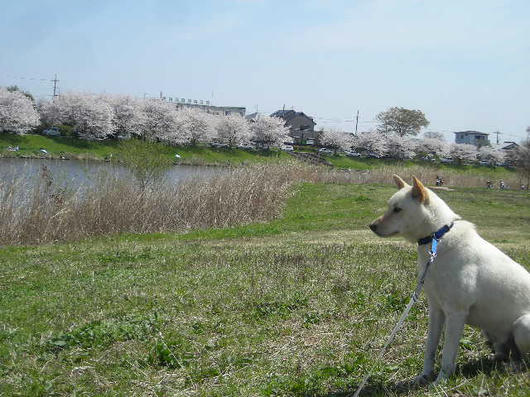 DSCN0992.JPG