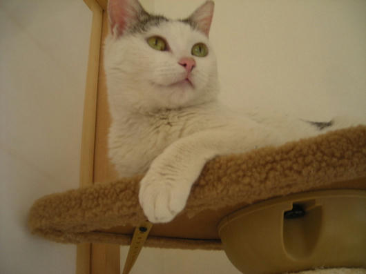 DSCN1106.JPG