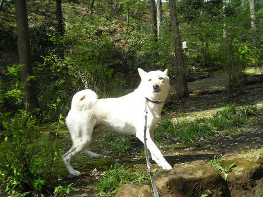DSCN1161.JPG
