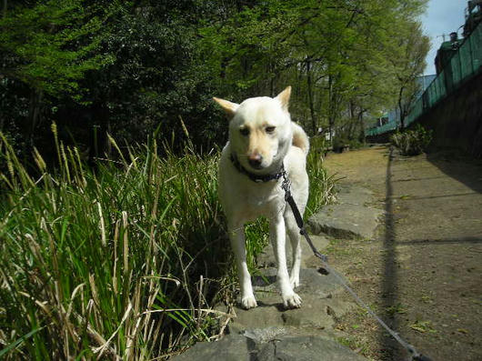 DSCN1201.JPG