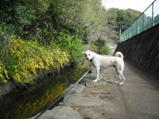 DSCN1207.JPG