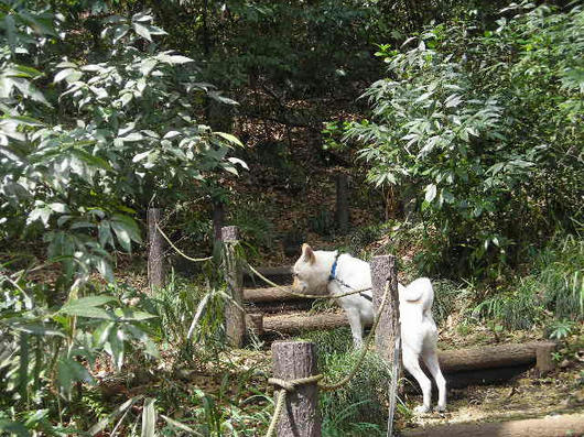 DSCN1249.JPG