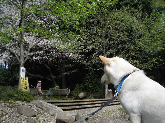 DSCN1206.JPG