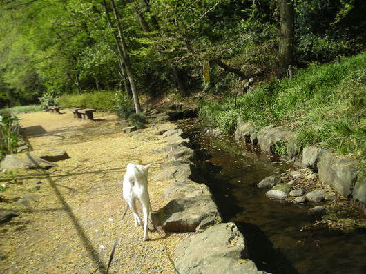DSCN1186.JPG