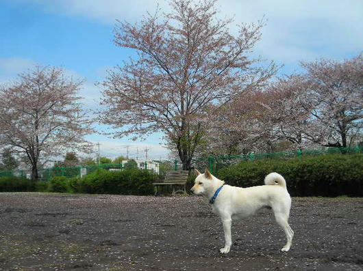 DSCN1281.JPG