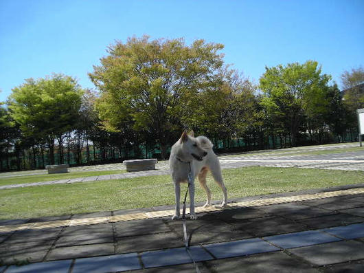 DSCN1354.JPG