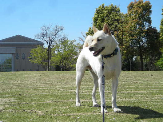 DSCN1333.JPG