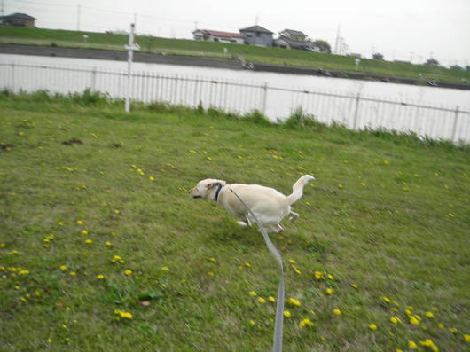 DSCN1358.JPG