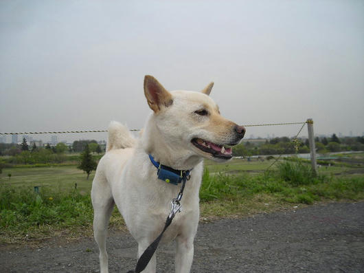 DSCN1388.JPG