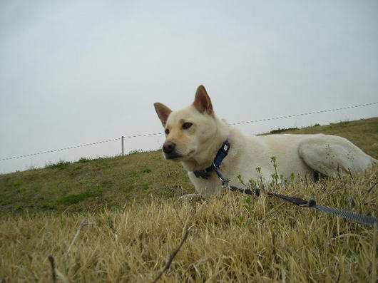 DSCN1417.JPG