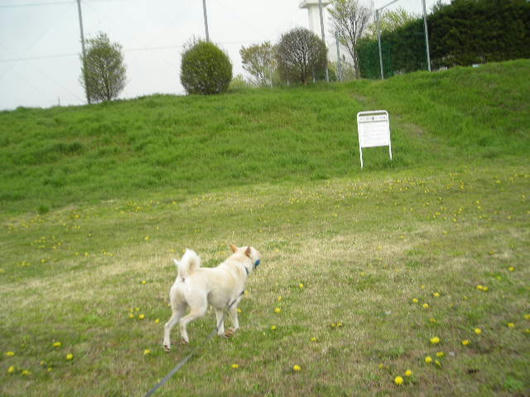DSCN1368.JPG