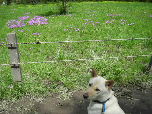DSCN1549.JPG