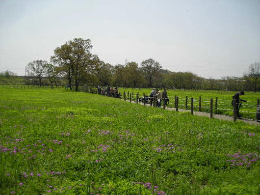 DSCN1468.JPG