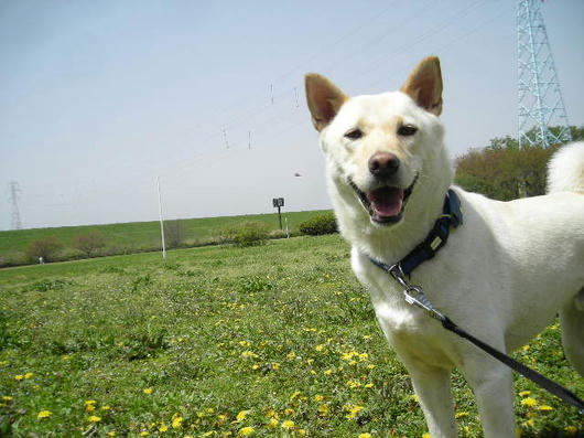 DSCN1506.JPG