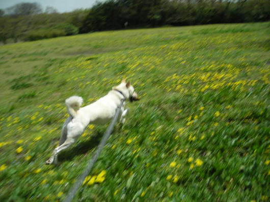 DSCN1507.JPG