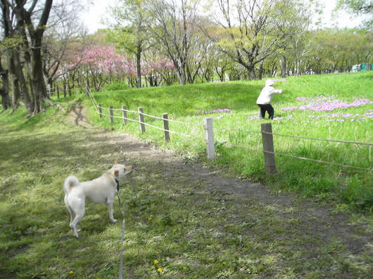 DSCN1558.JPG