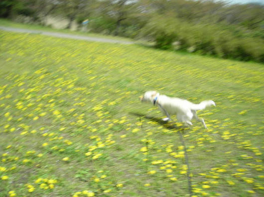 DSCN1503.JPG