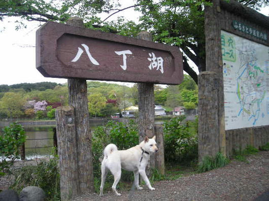 DSCN1702.JPG