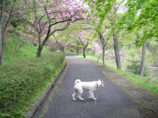 DSCN1677.JPG