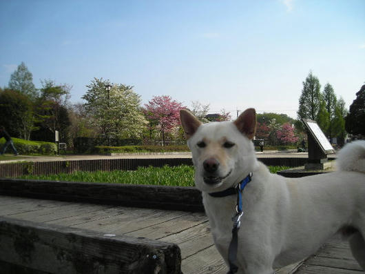 DSCN1733.JPG