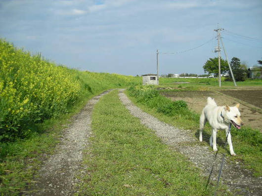 DSCN1716.JPG