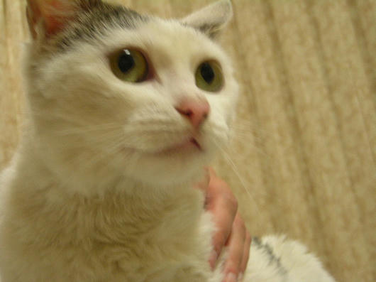 DSCN1853.JPG