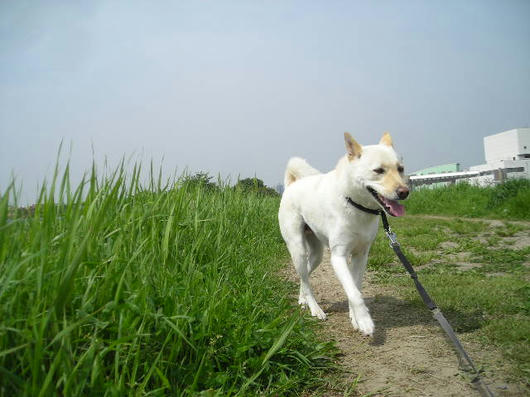 DSCN1968.JPG