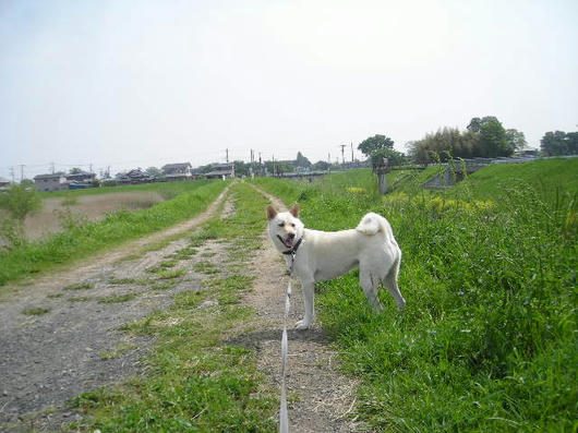 DSCN1964.JPG