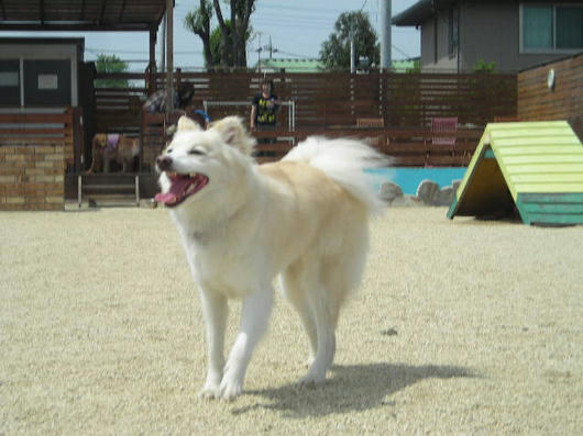 DSCN2073.JPG