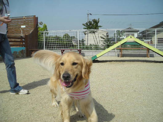 DSCN2104.JPG