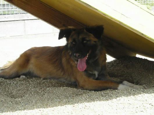 DSCN2067.JPG
