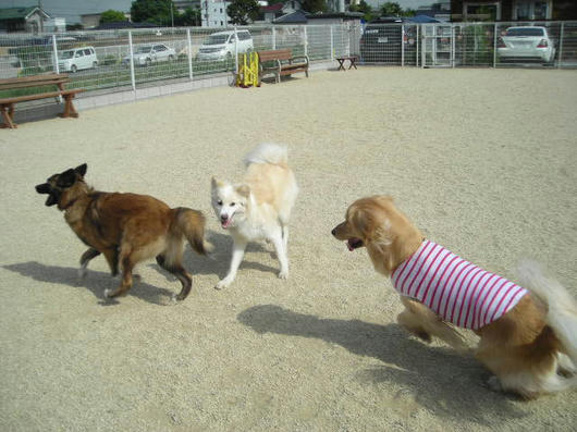 DSCN2109.JPG