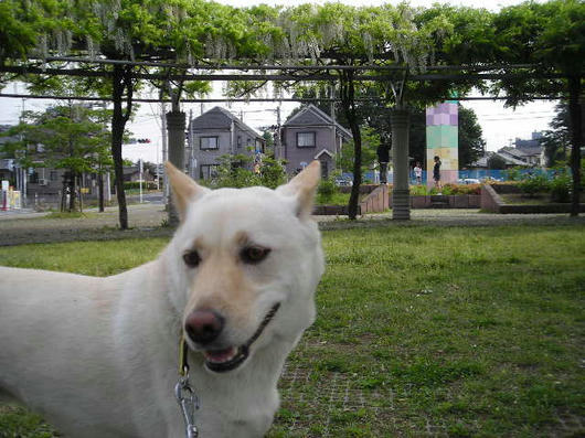 DSCN2145.JPG