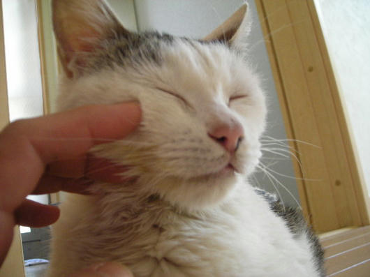 DSCN2270.JPG