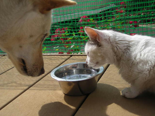 DSCN2296.JPG