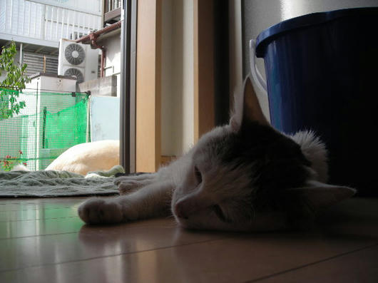 DSCN2302.JPG