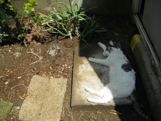 DSCN2254.JPG