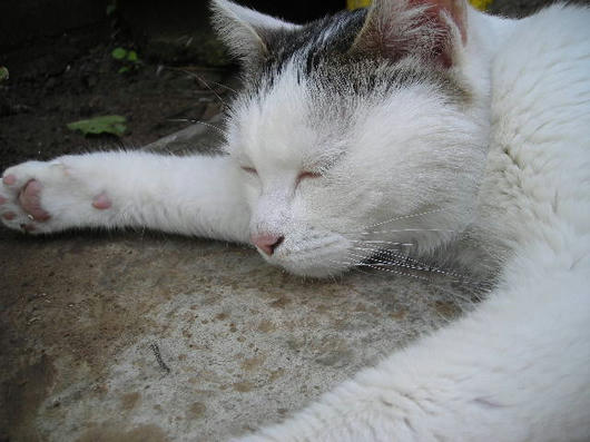 DSCN2249.JPG