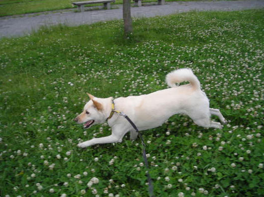 DSCN2528.JPG