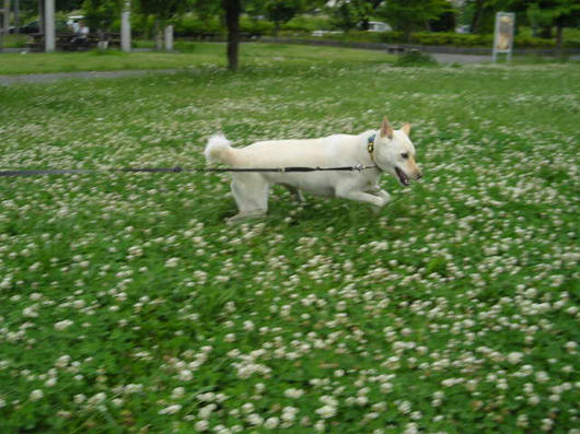 DSCN2532.JPG