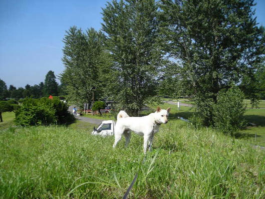 DSCN2581.JPG