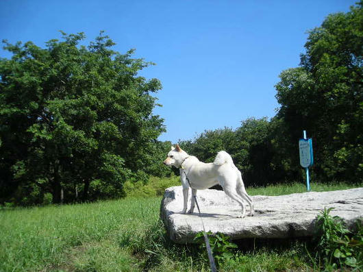 DSCN2591.JPG