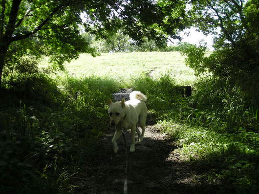 DSCN2583.JPG