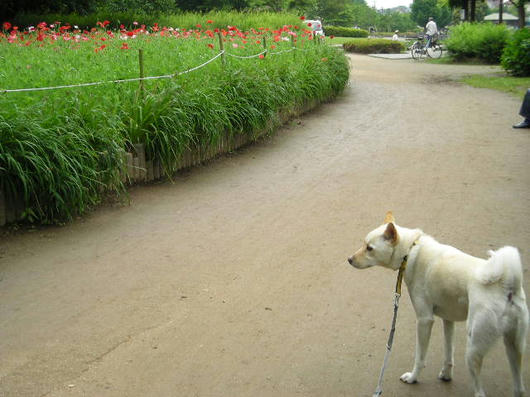 DSCN2633.JPG