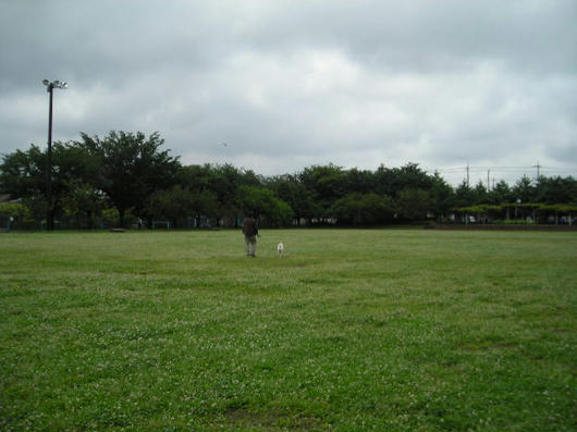 86ef00d4.JPG