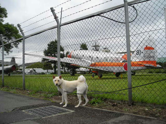 DSCN2710.JPG