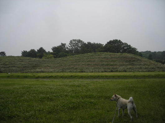 DSCN2786.JPG