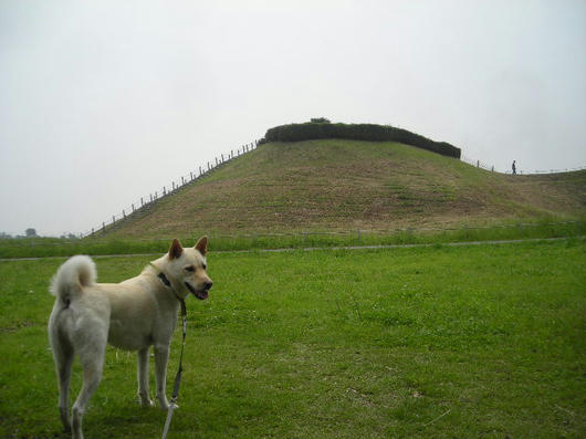DSCN2819.JPG
