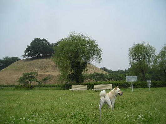 DSCN2827.JPG