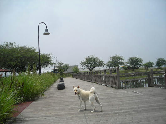 DSCN2837.JPG